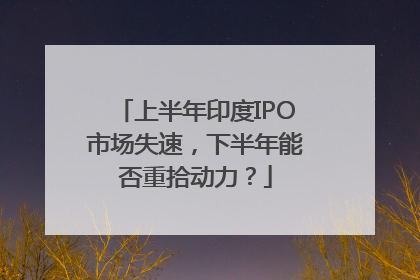 上半年印度IPO市场失速，下半年能否重拾动力？
